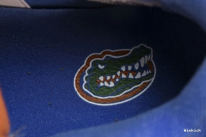4  "Florida Jordan AJ4-904283 Gators" Air PE  1009